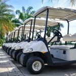 GolfCarts GolfCarts